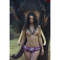 BONE ELEPHANT Â©_4-yjT8Y4JlJgXp0FdIYpAf8eW67JKYazKG.jpg